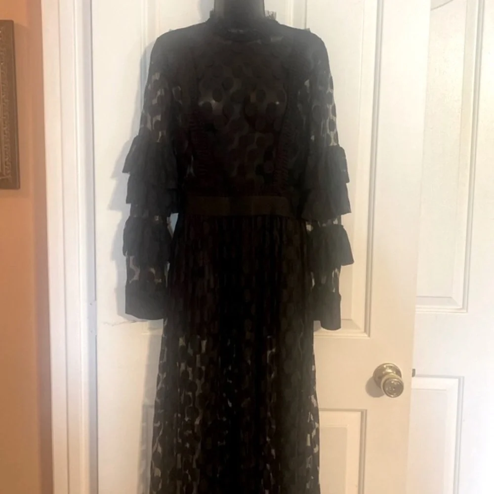 SHEER MESH POLKA DOT TIERED RUFFLE DRESS - Picture 7 of 15